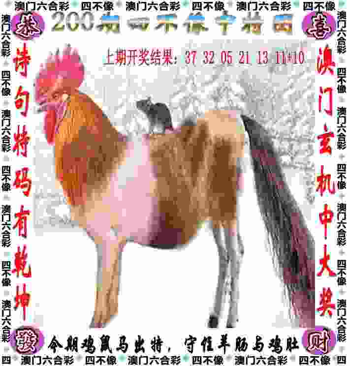 文一男篮“喜提”悍将 随队征战2019赛季NBL联赛