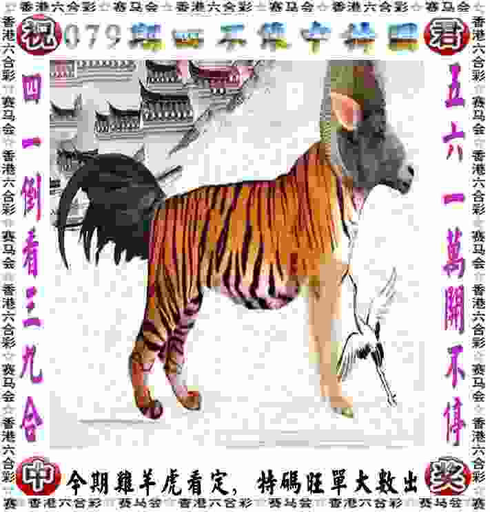 CBA球星周启新加盟 文一男篮志在夺冠
